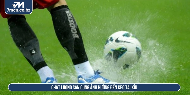 Kèo Tài Xỉu Bóng Đá Và Chiến Lược Soi Tỷ Lệ Cược Hiệu Quả 3 Chất lượng sân cũng ảnh hưởng đến kèo tài xỉu