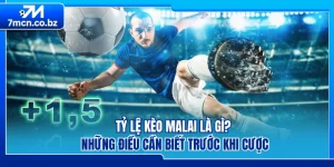 Tỷ Lệ Kèo Malai Là Gì? Những Điều Cần Biết Trước Khi Cược